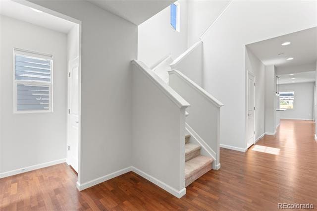 Photo - 4951 Basalt Ridge Cir
