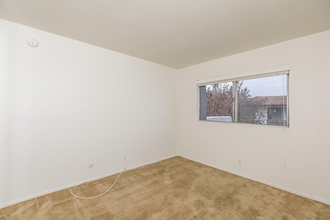 Photo - 3709 Summershore Ln