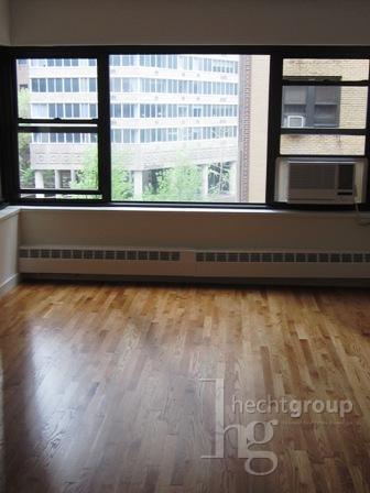 Photo - 1 bedroom in NEW YORK NY 10022 Unit 4H