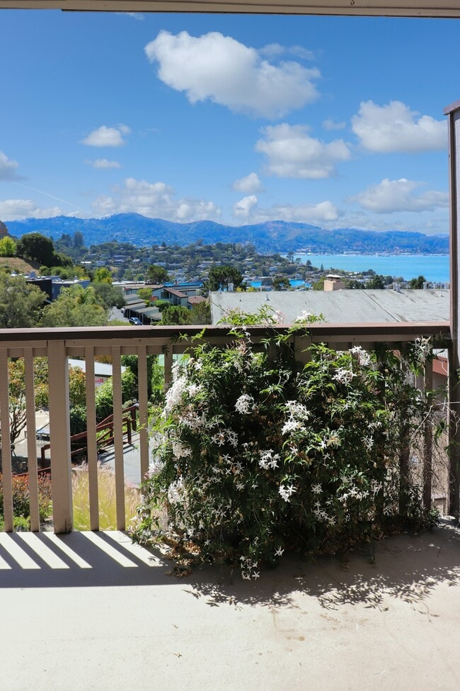 Building Photo - 55 Marinero Cir Unit 101A