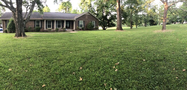 Front Yard - 1735 Cedarcroft Dr House