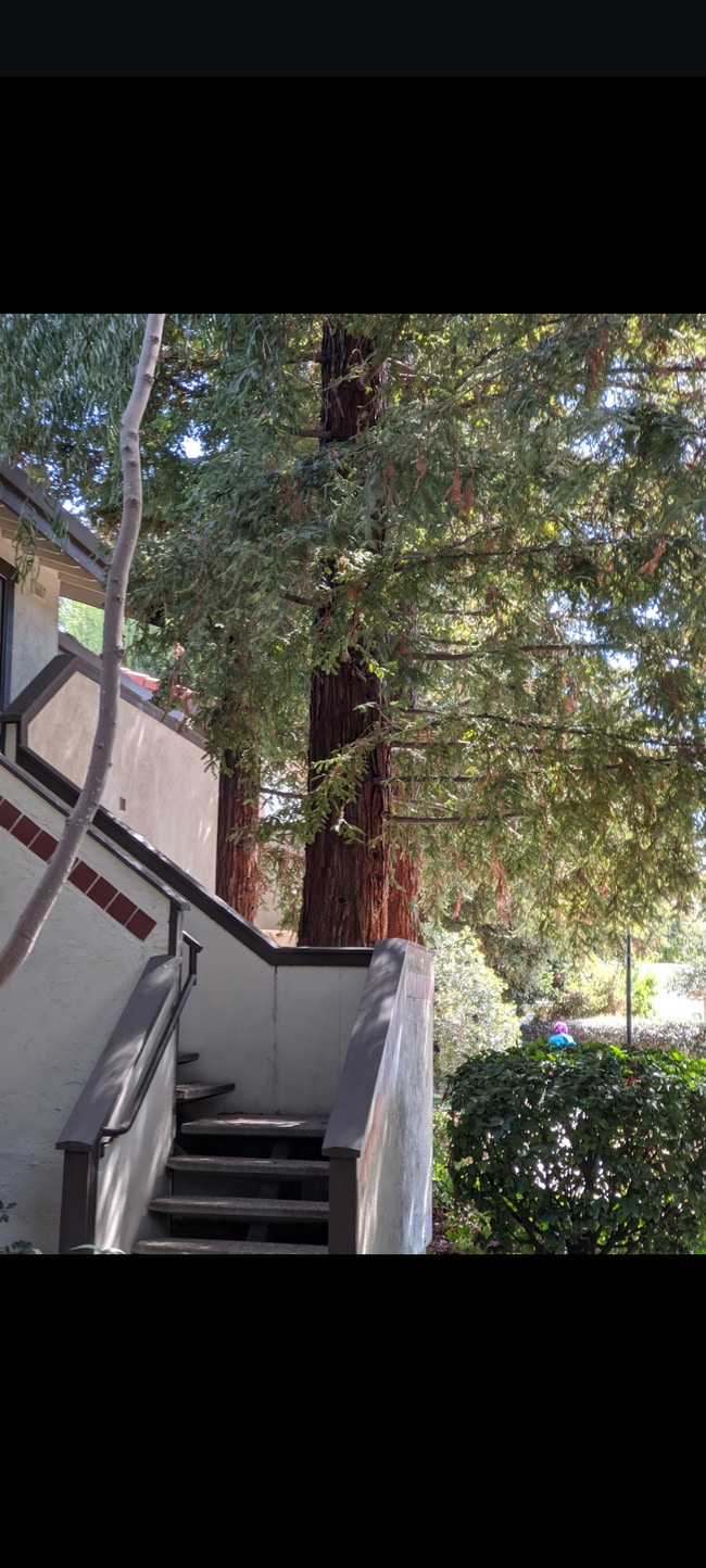 Photo - 1400 Bowe Ave Unit 1507