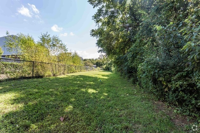 Carrera de perros - Canyon Ridge