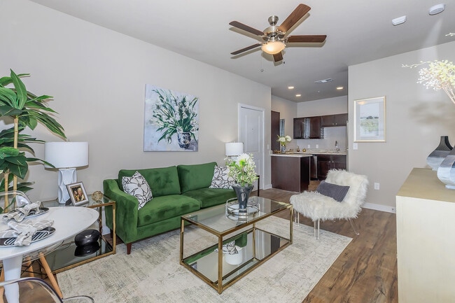 Vantage at McKinney Falls A1 Living Room