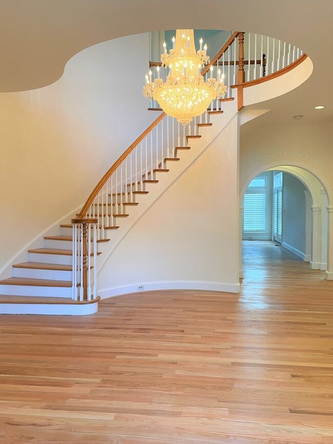 Photo - Potomac Splendor