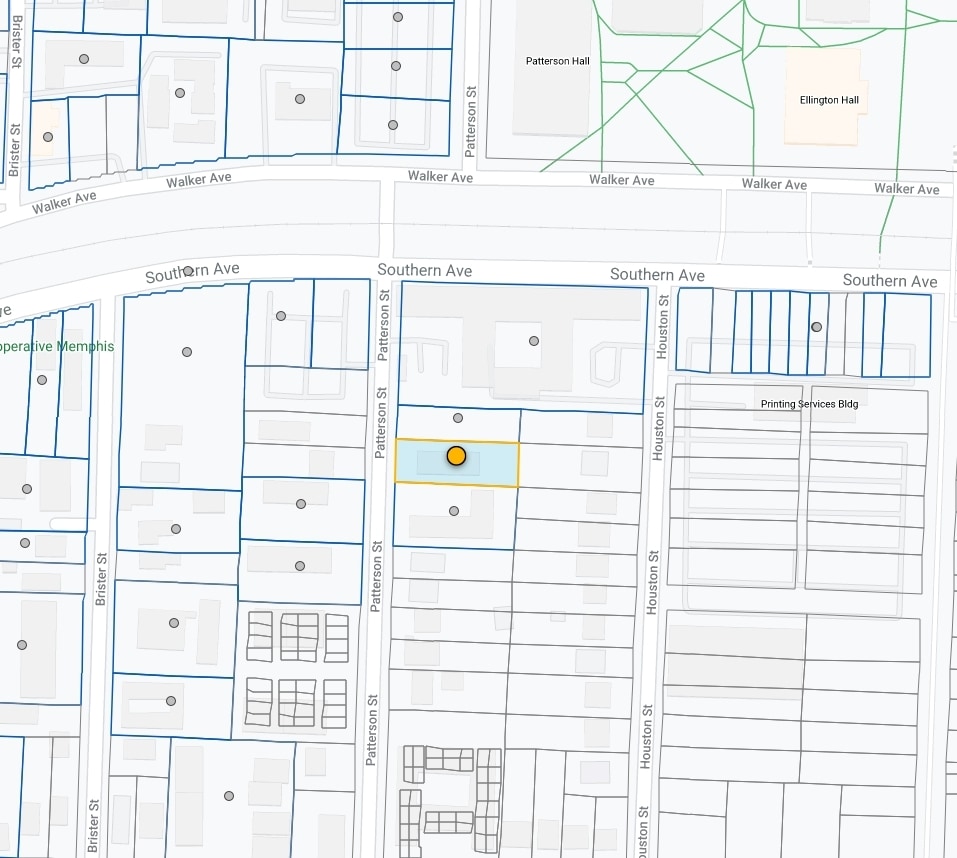 Photo - Southernwood