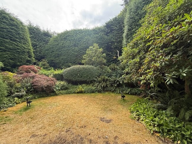 Photo - 810 Burley Dr