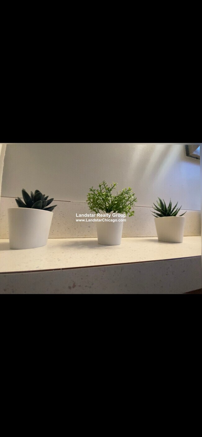 Photo - 1607 W Ainslie St Unit 2E