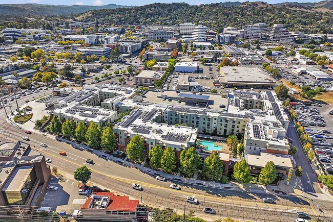 Building Photo - Brio