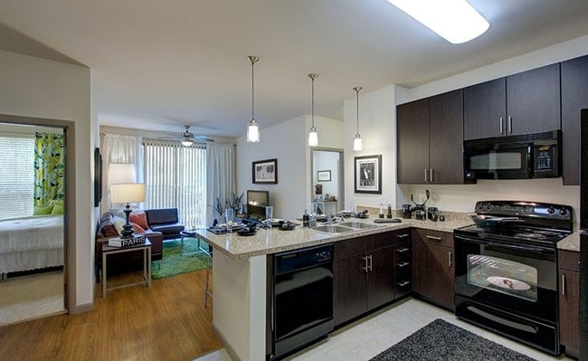 Lark Central Florida- Student Housing