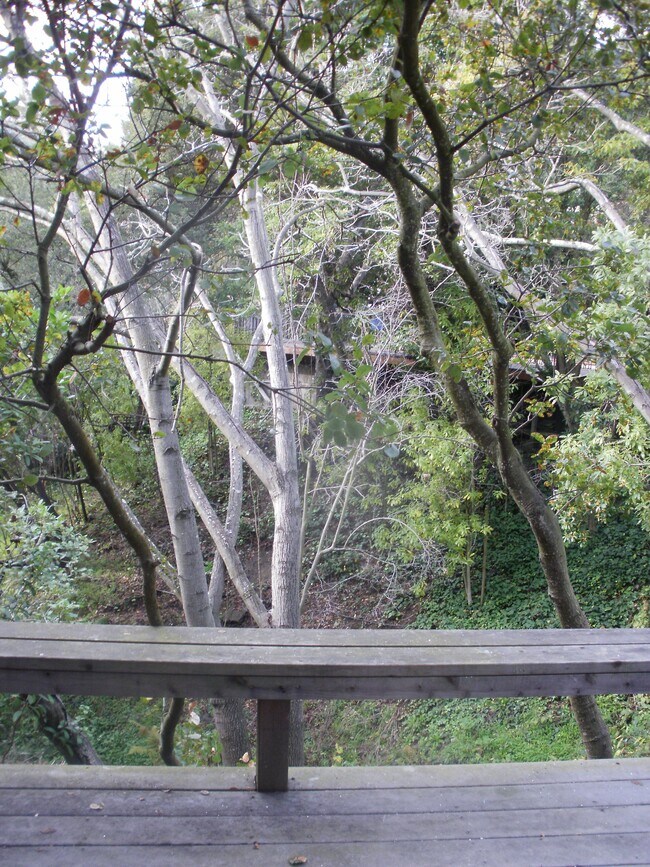 Photo - 58 Roble Rd Unit Detached Cottage