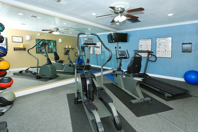 Gimnasio