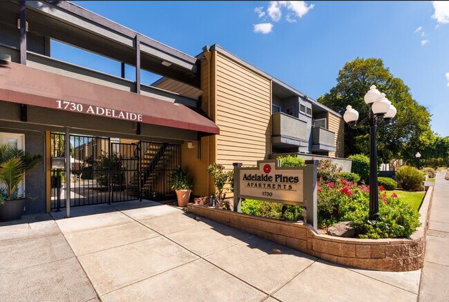 Photo - Adelaide Pines