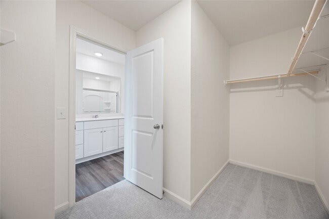 Photo - 8807 Vacek Xing Wy