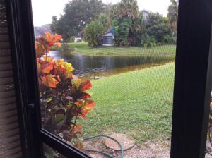 Photo - 9260 Ketay Cir Unit 2