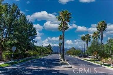 Photo - 2429 Bruin Pl