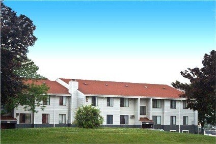 Photo - Festival Field