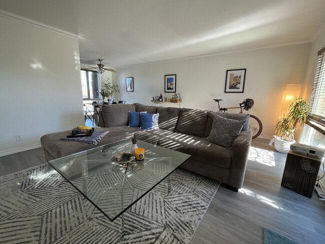 Furnished Living Room - 3562 Marlborough Ave Condo Unit 14