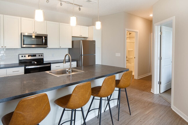 Photo - Killarney Woods