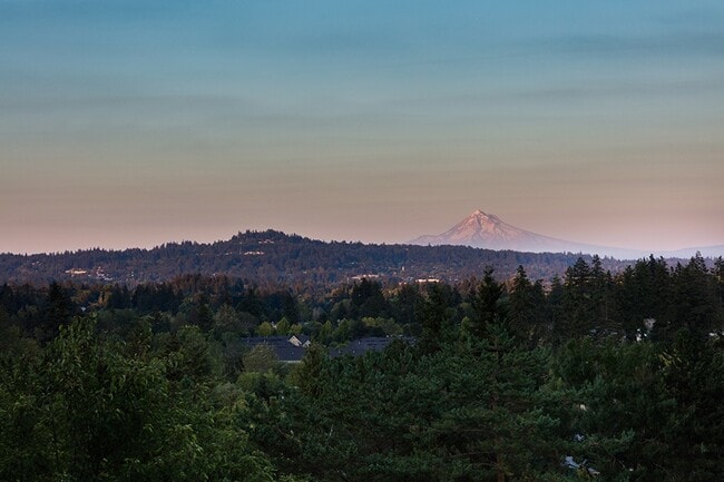 Building Photo - Skyline at Murrayhill Rental