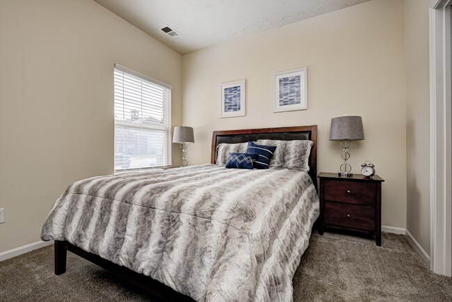 Photo - Autumn Chase