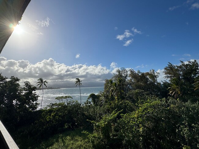 Hale Kahakai-Stunning Oceanview Condo - Hale Kahakai-Stunning Oceanview Condo Unit 506