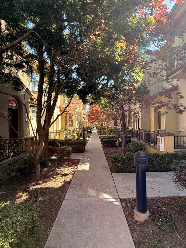 Front View 1 - 677 Luz del Sol Loop Unit 677 Luz Del Sol Loop