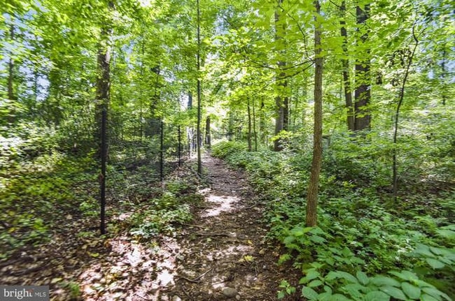 Photo - 2230 George C Marshall Dr Unidad 416