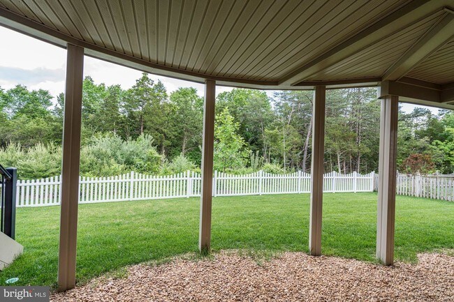 Photo - 24726 Marshy Hope St