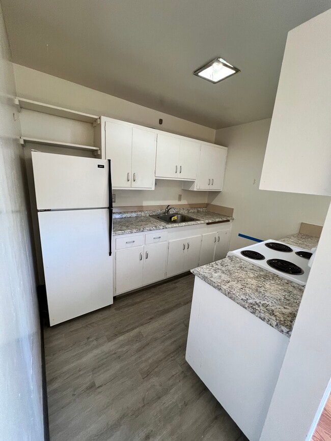 Photo - North Berkeley, Spacious 2 BR 1 BA