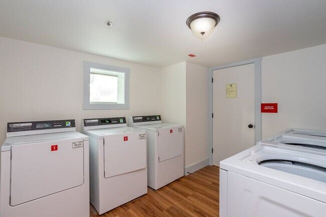 Photo - Red Maple Apartments