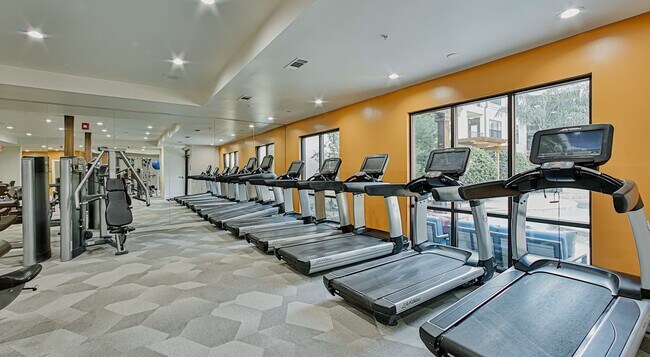 Building Photo - 2900 N Braeswood Blvd Unit 6412 Rental
