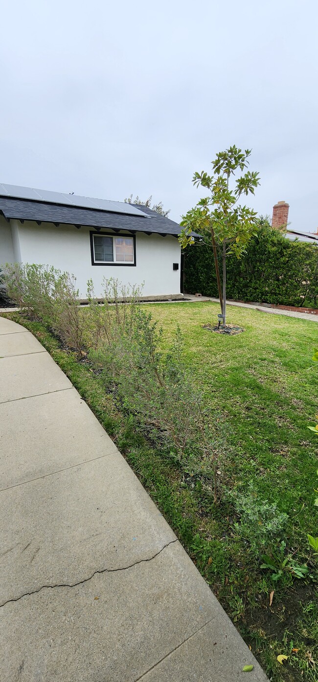 front yard for ADU - 16515 Devonshire St Apartments Unit ADU