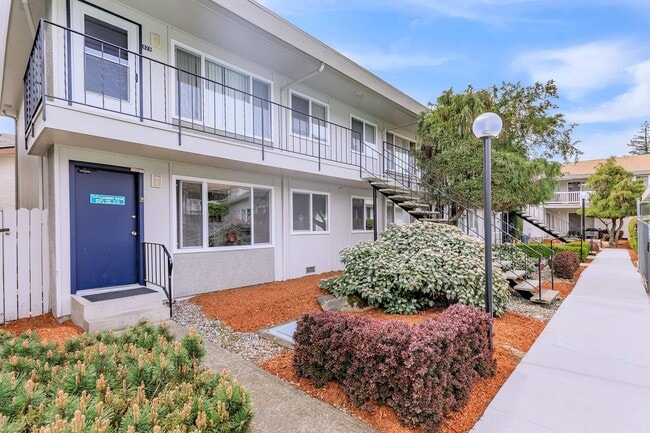 Photo - Mar Vista Apartments