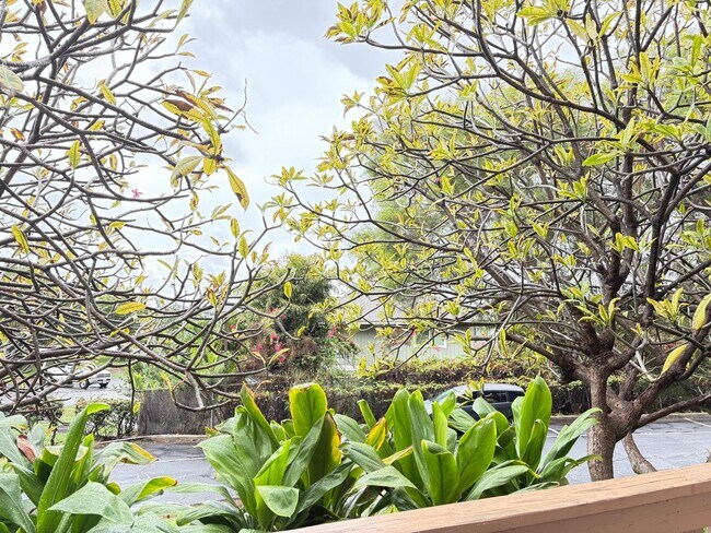 Photo - Two Bedroom Makaha Valley Plantation Unidad 185A