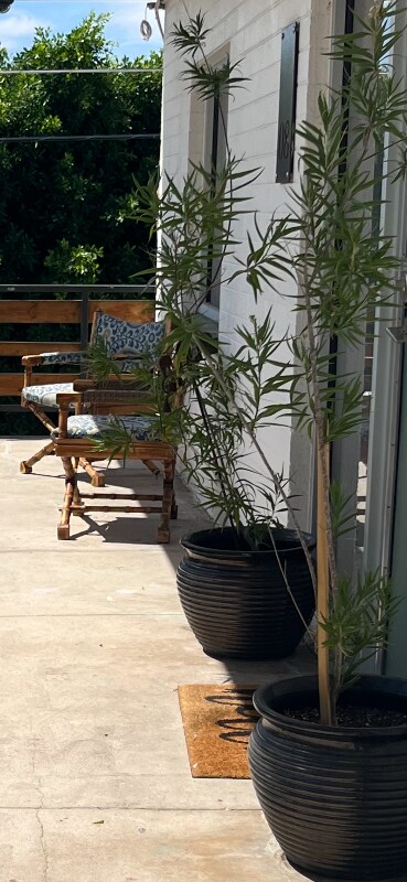 Photo - 813 E Marlette Ave