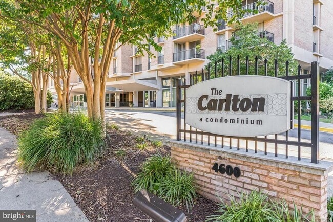 Building Photo - 4600 S Four Mile Run Dr Unit 514 Rental