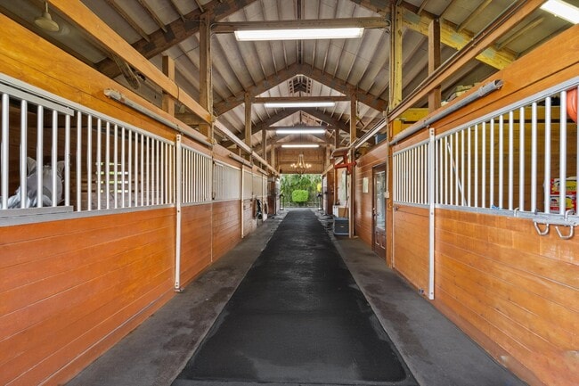 Photo - 11861 Hawk Hollow