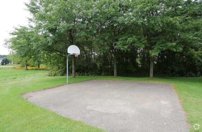 Basketball Court