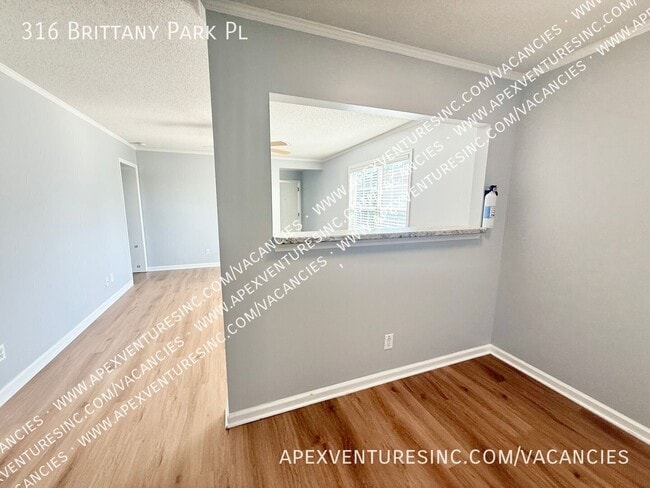 316 Brittany Park Pl