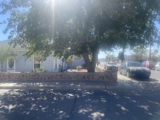 Largest Shade tree in neighborhood - 306 S San Pedro St House