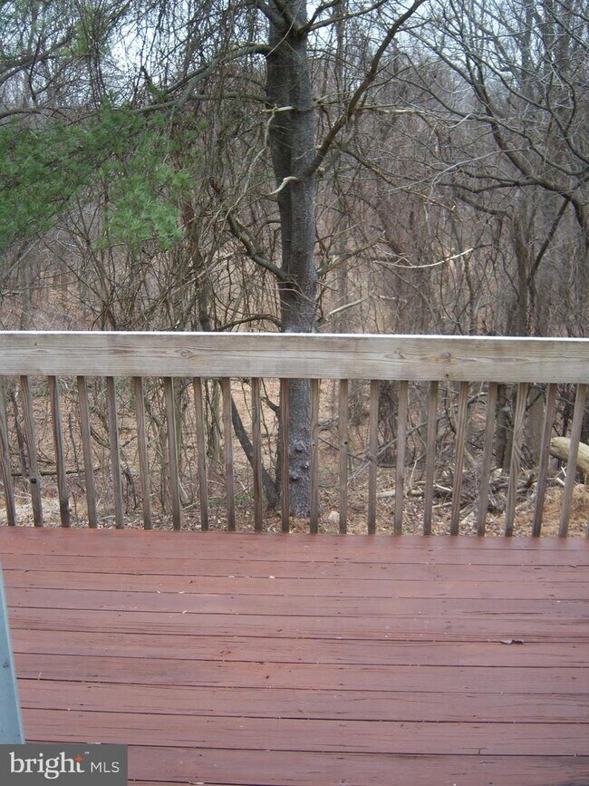 Photo - 16 Merrion Ct