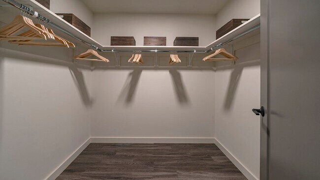 Spacious apartment bedroom closet