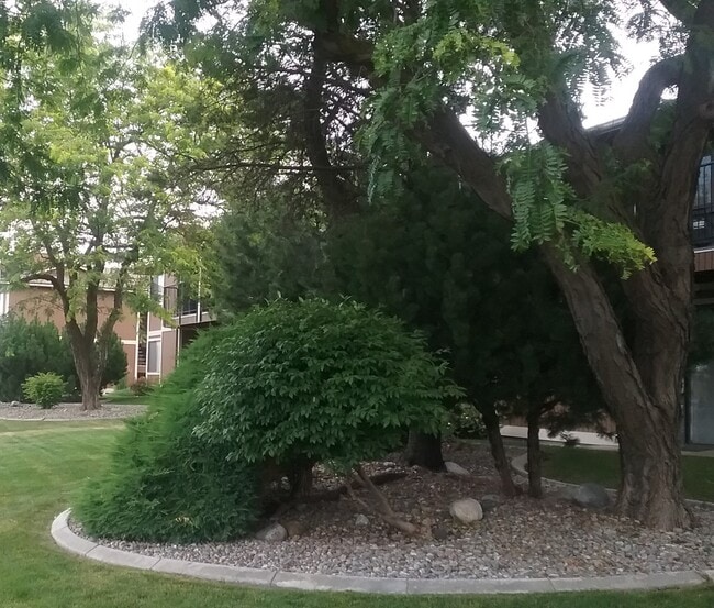 Photo - Pineview Apartments