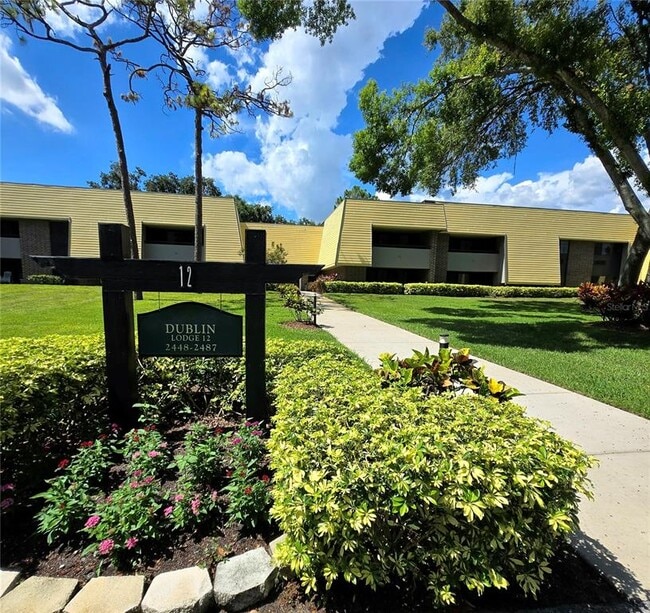 Building Photo - 36750 US-19 Unit 12-109 Rental