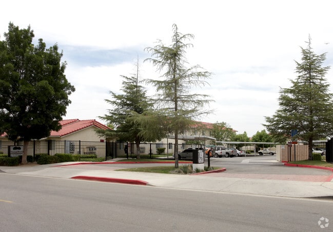 Primary Photo - Vintage Woods