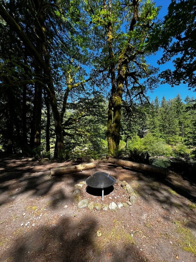 Photo - River Rapids