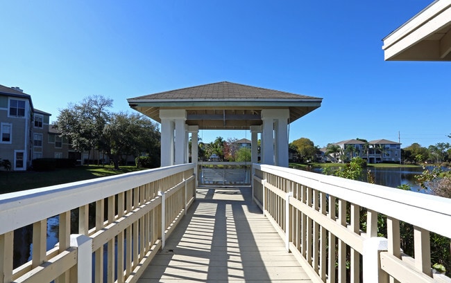 Photo - Palm Cove Apartments