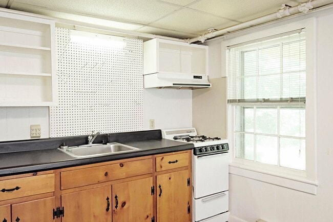 Photo - Pet-Friendly Fry's Spring Basement Apartment Unidad B