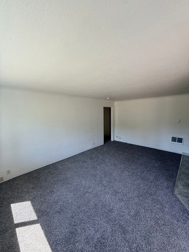 Photo - 1399 Maclay Dr